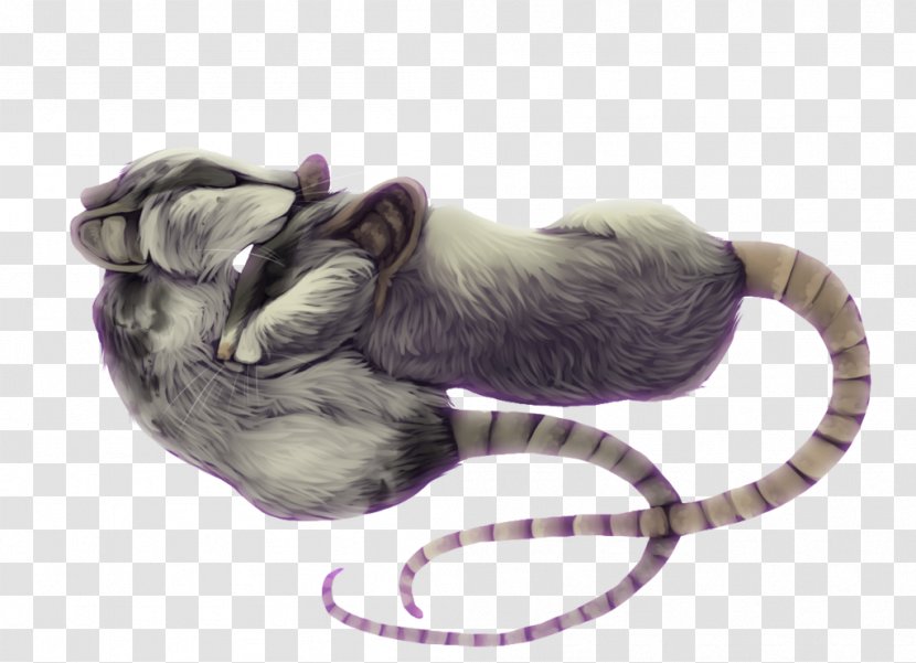 Cat Fur Snout - Carnivoran Transparent PNG