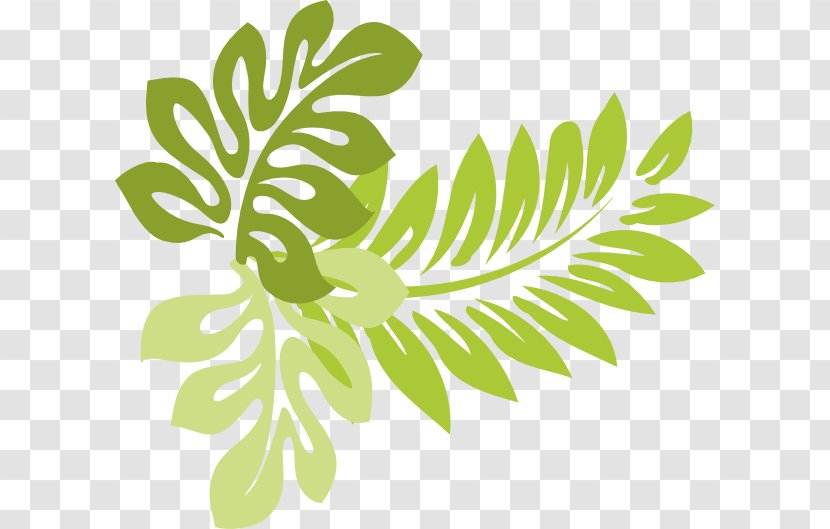 Hawaii Leaf Clip Art - Flora - Buckeye Cliparts Transparent PNG