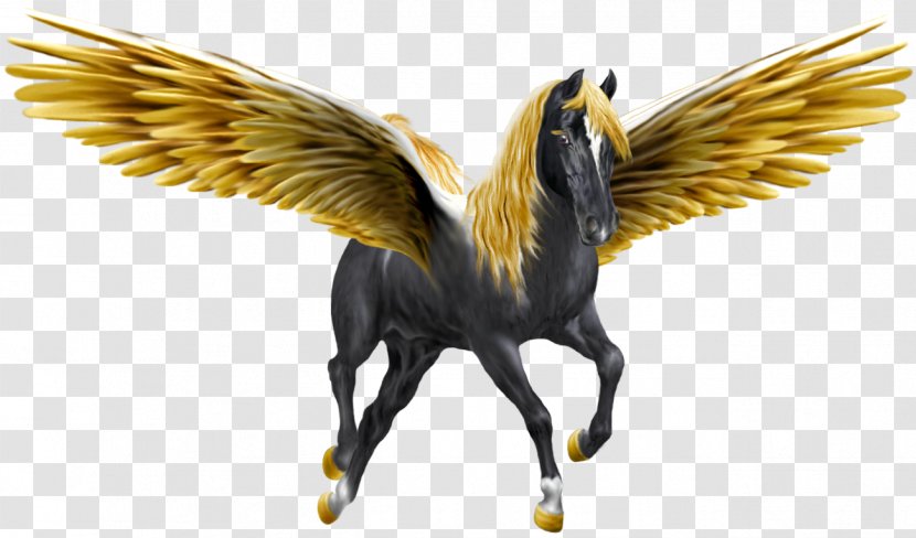 Pegasus Winged Unicorn Horse - Fauna Transparent PNG