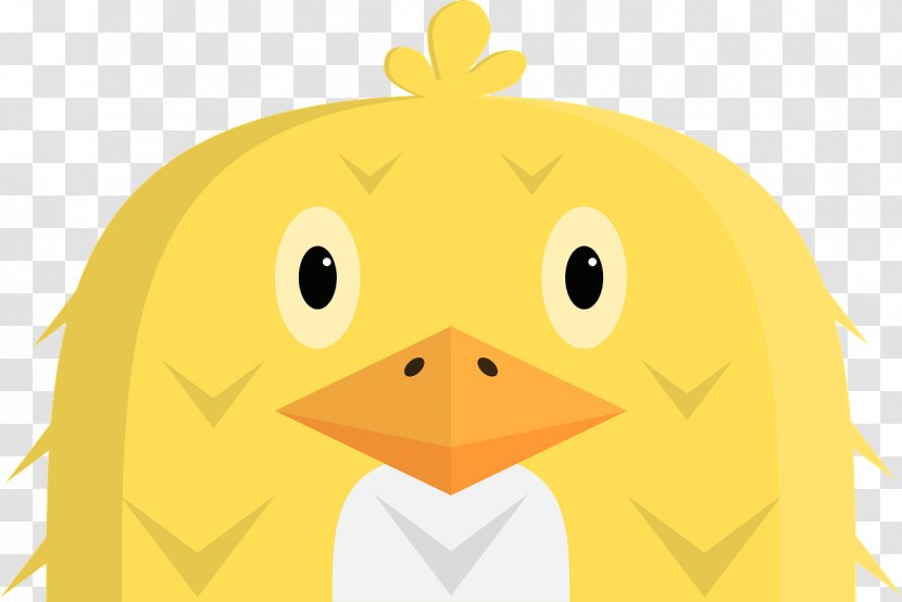 Duck Chicken Incubator Clip Art - Water Bird Transparent PNG