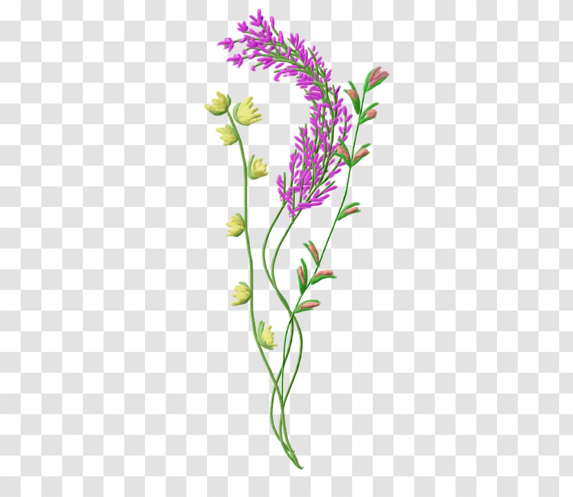 Painting Cut Flowers - Pink Transparent PNG