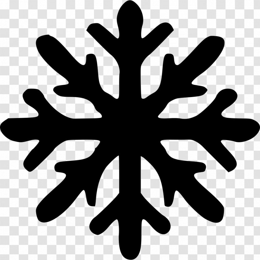 Snowflake - Spark Transparent PNG