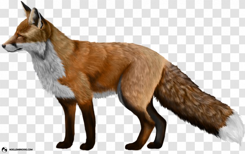 Domesticated Red Fox Clip Art Transparent PNG