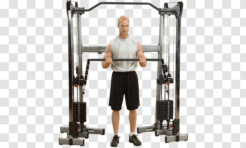 Functional Training Weight Fitness Centre Barbell Human Body - Tree - Solid Transparent PNG