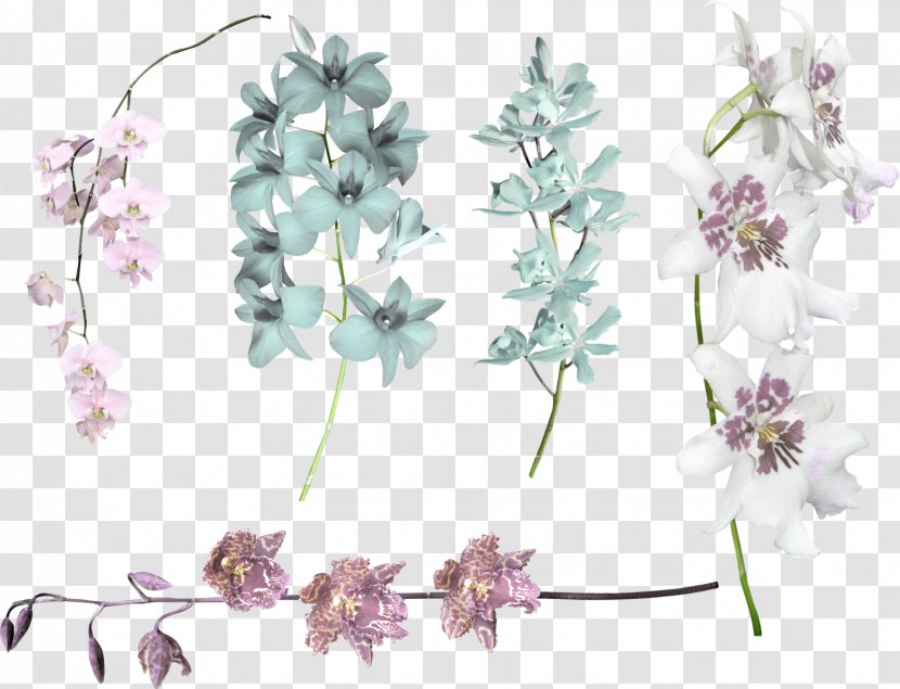 Cut Flowers Floral Design Violet Lilac - Lavender - Jasmin Flower Transparent PNG