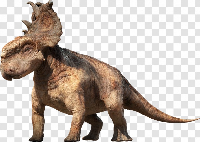 Pachyrhinosaurus Edmontosaurus Ceratopsia Gorgosaurus Dinosaur - Walking With Dinosaurs Transparent PNG
