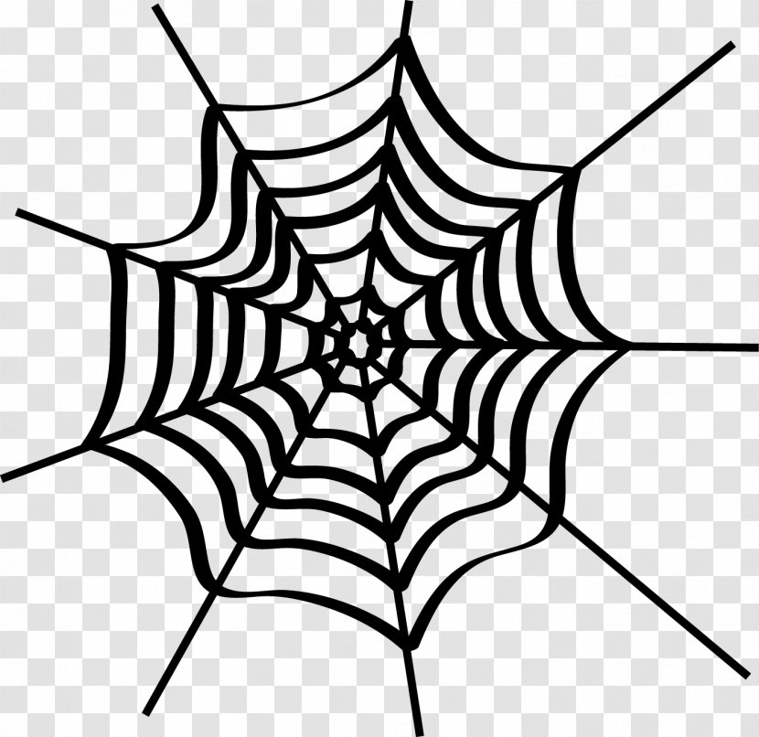 Spider Web Clip Art - Area Transparent PNG