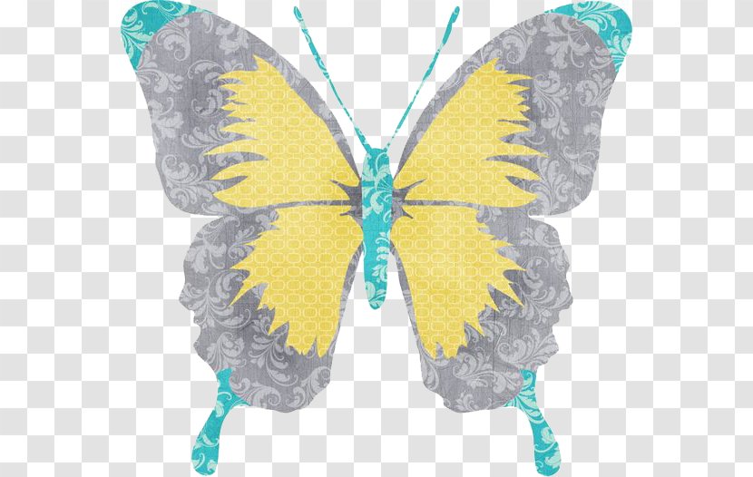 Butterfly Drawing Paper Clip Art - Moth Transparent PNG