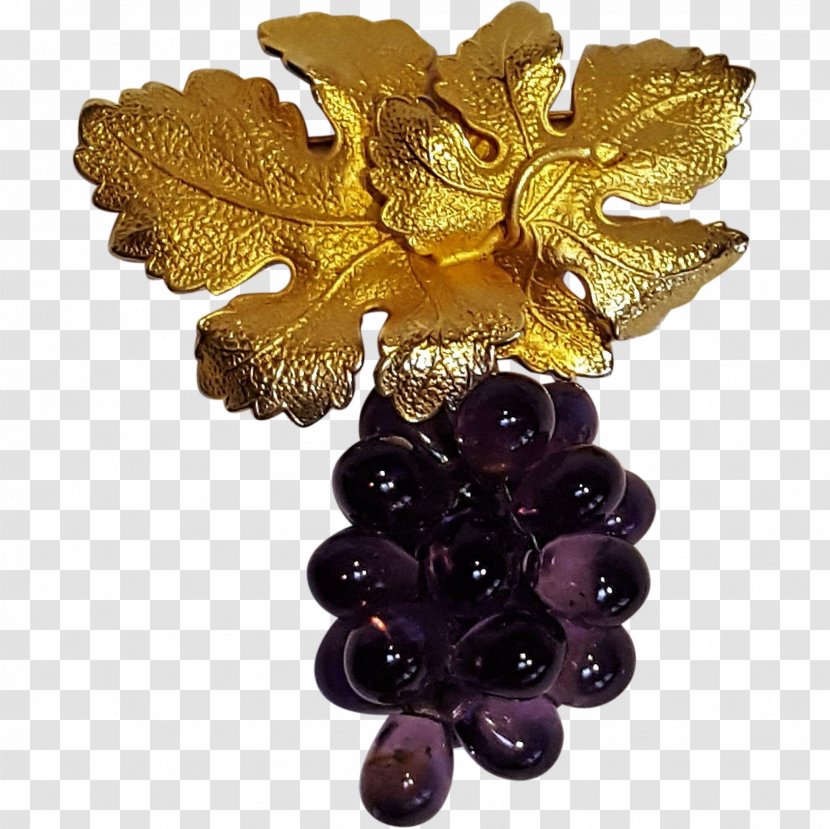 Grape Jewellery - Grapevine Family Transparent PNG