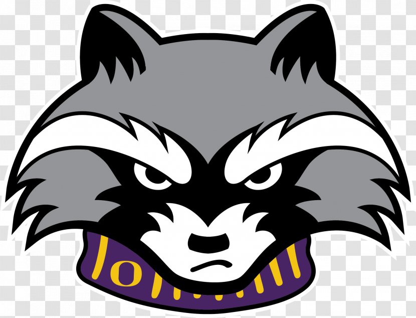 Oconomowoc High School Whiskers Area District The Intermediate Schools - Small To Medium Sized Cats - Raccon Transparent PNG