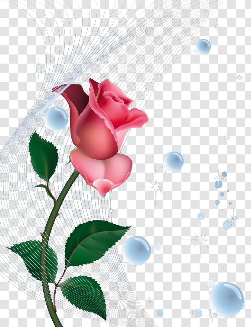 Rose Art Clip - Fuchsia Transparent PNG