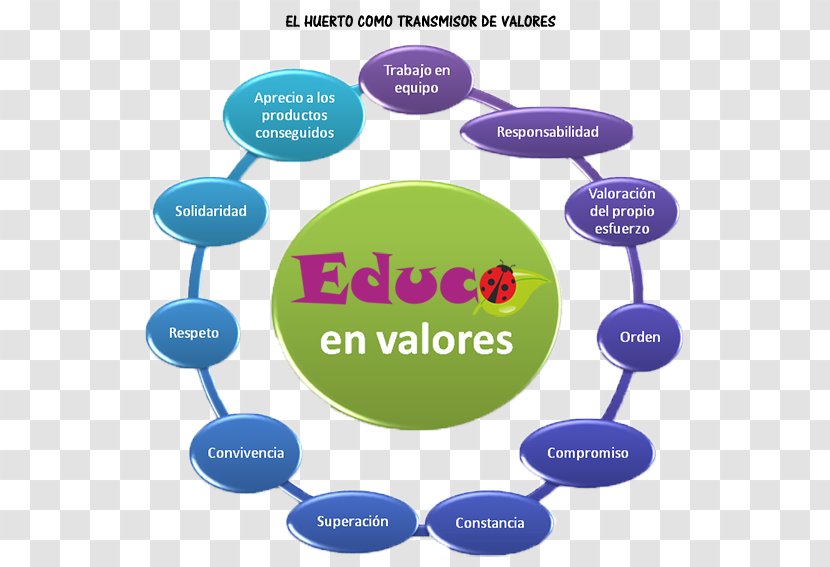 Valor School Market Garden Education Ecology - Teaching Transparent PNG