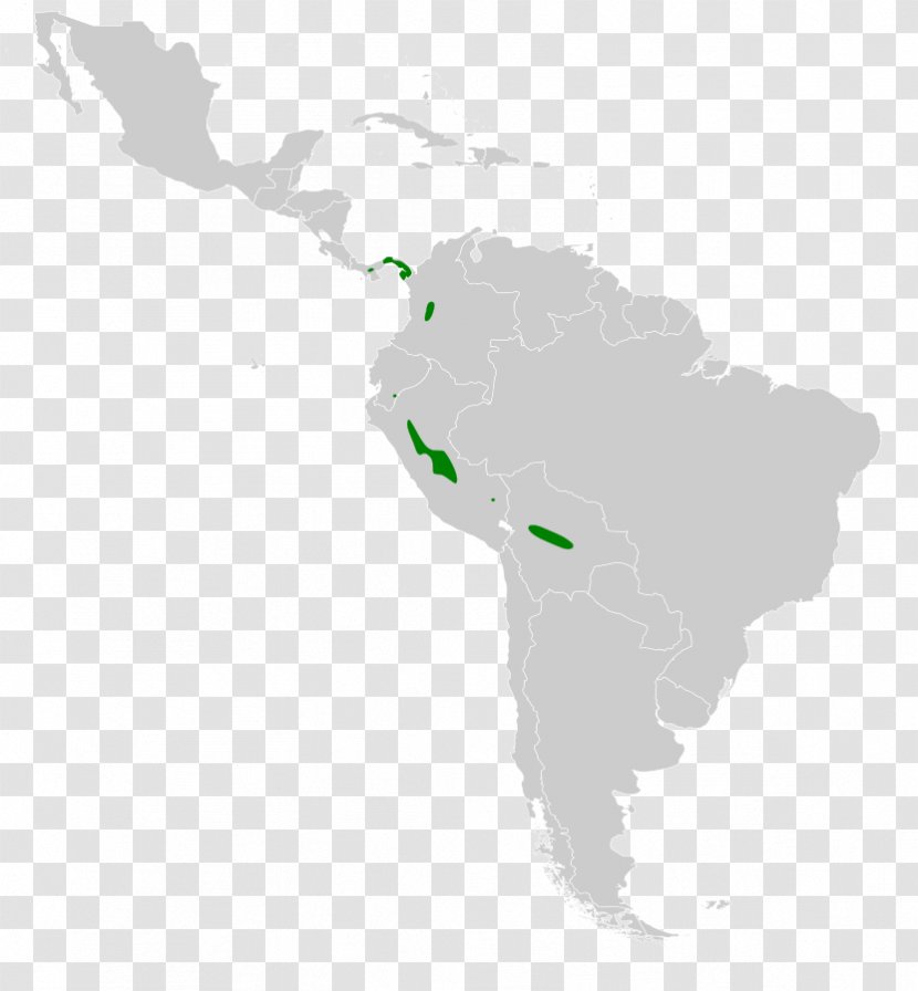 Latin America South United States Region - Americas Transparent PNG