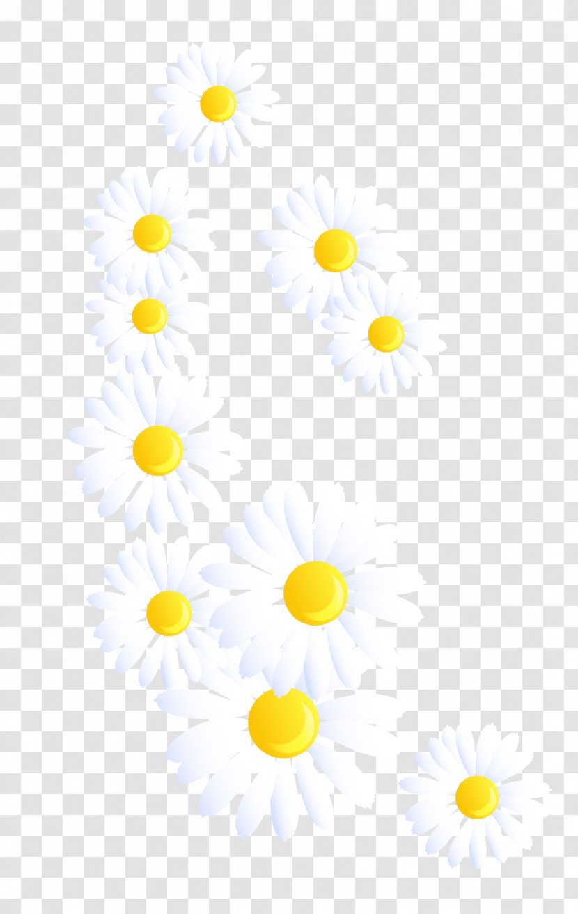 Yellow White Chrysanthemum - Broccoli - Vector Small Transparent PNG