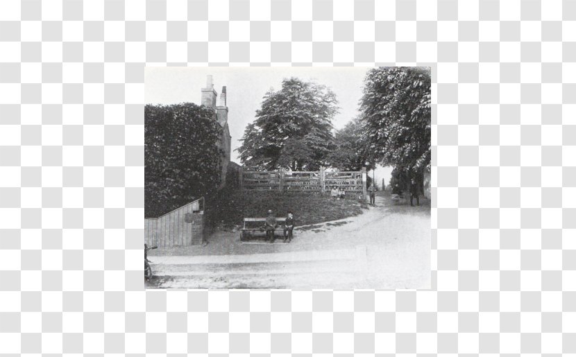 Highgate Edwardian Era Victorian History Land Lot - London - Tree Transparent PNG
