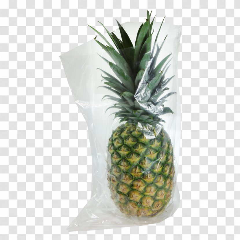 Pineapple Flowerpot - Ananas Transparent PNG