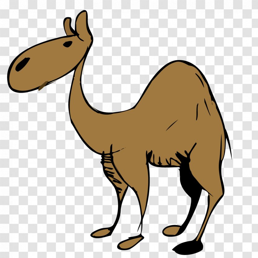 Dromedary Desert Clip Art - Fauna - Camel Cartoon Transparent PNG