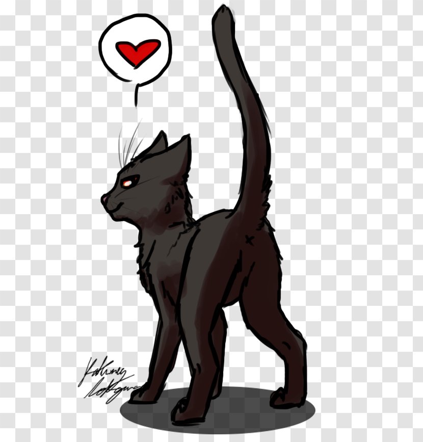 Whiskers Cat Red Fox Dog Clip Art - Mammal Transparent PNG
