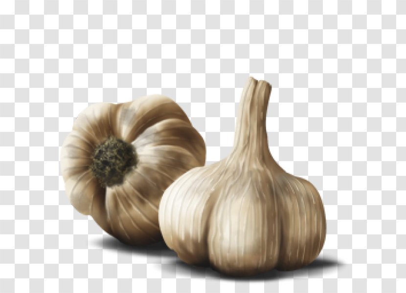 Garlic Bread - Onion Transparent PNG