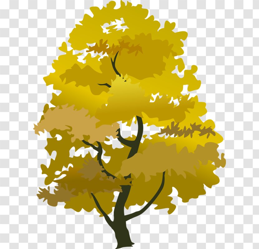 Tree Autumn Clip Art - Floral Design - Trees Transparent PNG