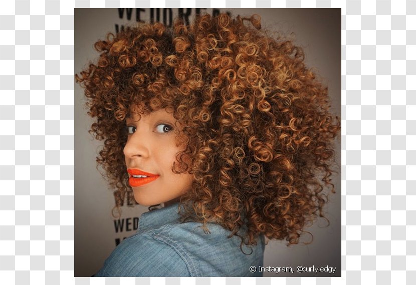 Afro Hair Coloring Brown Chestnut - Cabelo Transparent PNG