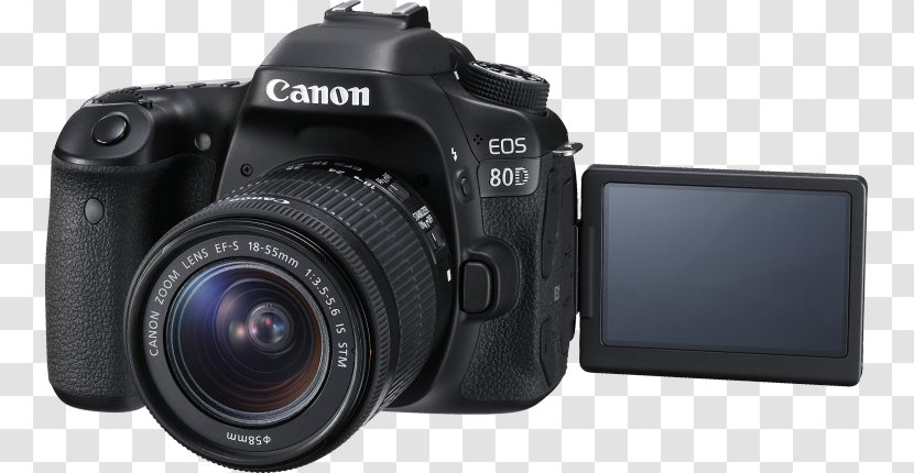 Canon EOS 80D EF-S 18–135mm Lens Mount Camera 18–55mm - Reflex Transparent PNG