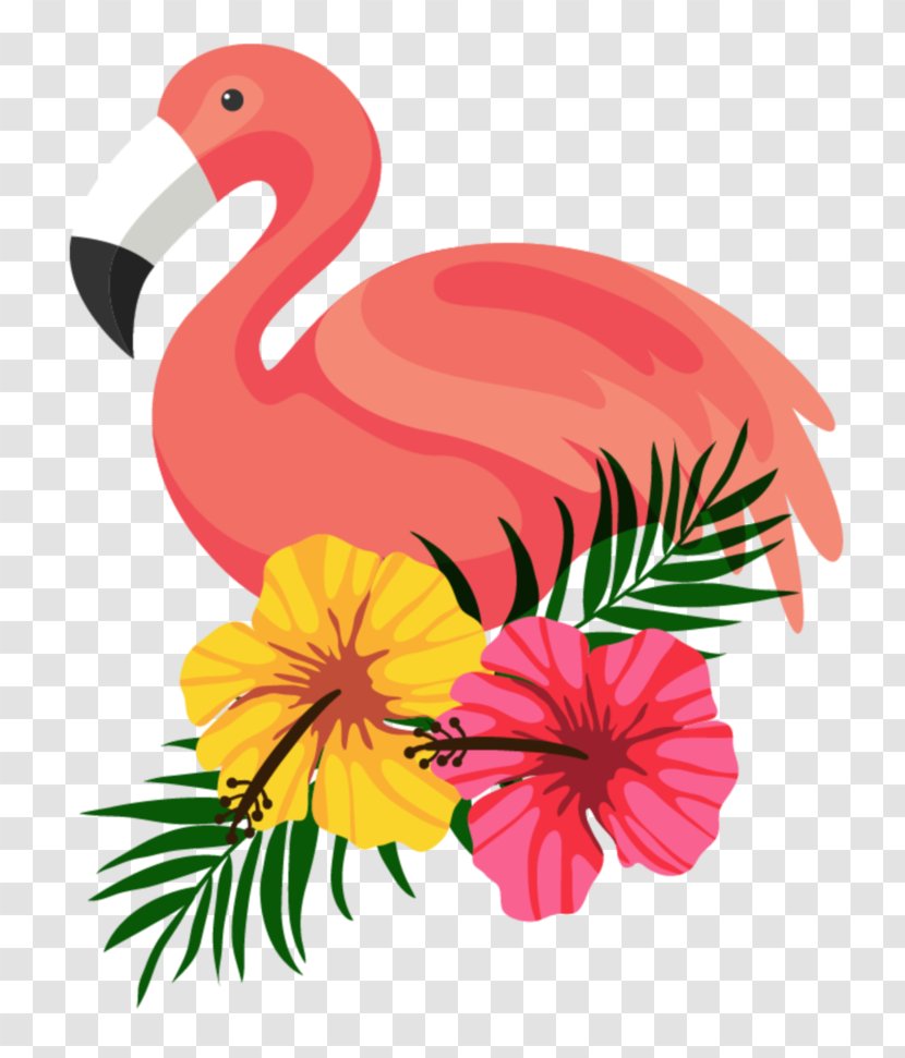 Flamingo Clip Art - Flowering Plant - Summer Transparent PNG