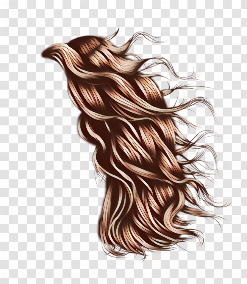 Hair Long Brown Hairstyle - Artificial Integrations - Lace Wig Coloring Transparent PNG