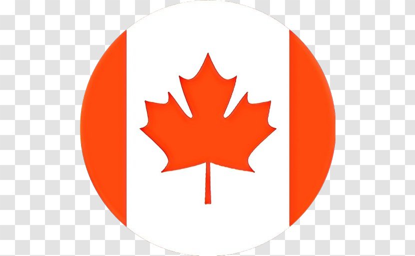 Maple Leaf - Tree - Black Symbol Transparent PNG