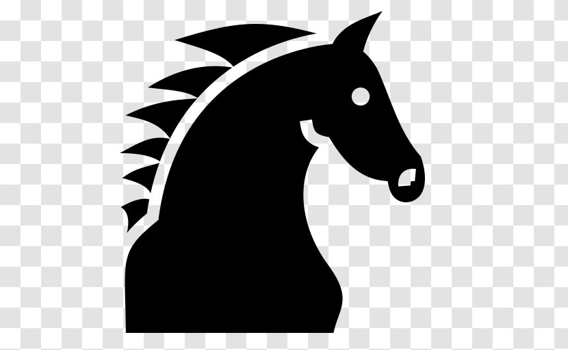Horse Stallion - Mane Transparent PNG