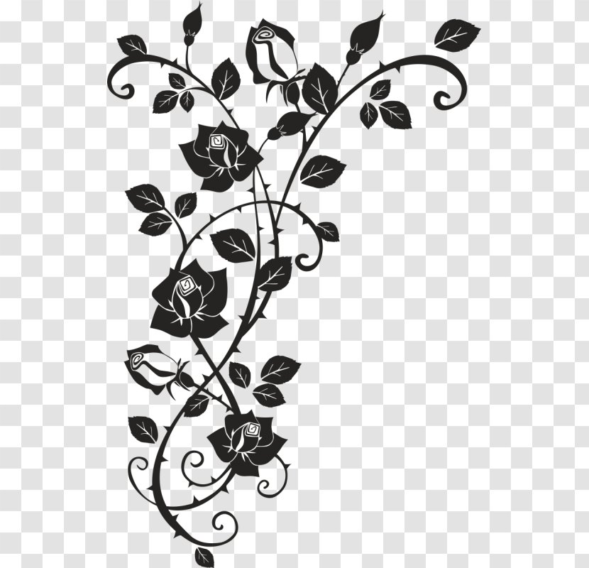 Thorns, Spines, And Prickles Rose Drawing Clip Art - Vine Transparent PNG