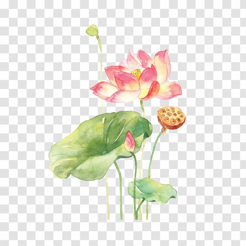 Watercolor Painting Drawing Art Cream - Plant Stem - Hand-painted Lotus Material Transparent PNG