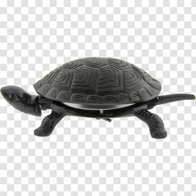 Turtle Call Bell Reptile Tortoise Transparent PNG