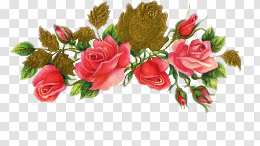 DeviantArt Clip Art - Rose Family - Flower Garland Transparent PNG