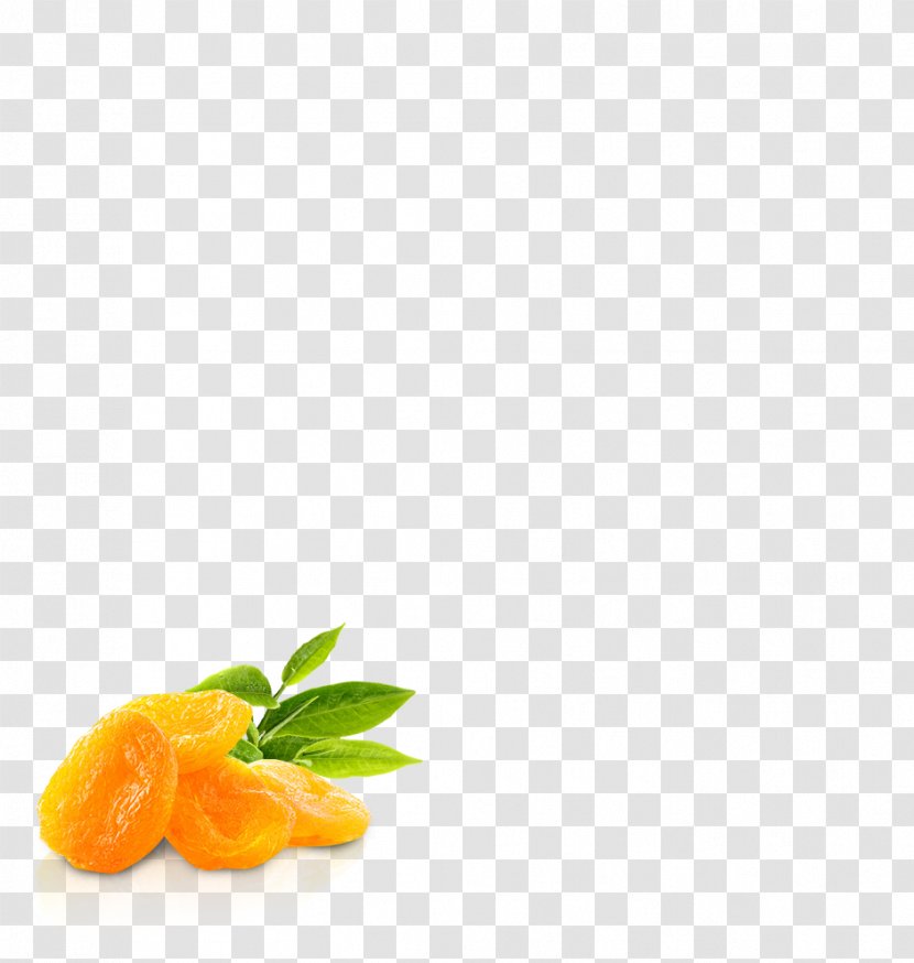 Vegetable Garnish Superfood Fruit - Orange Transparent PNG
