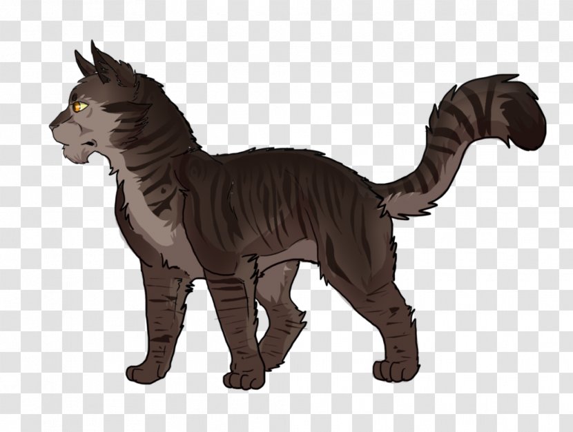 Cat The Warriors Universe Fan Art - Digital Transparent PNG