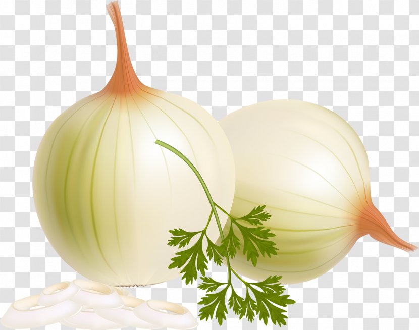 Cherry Tomato Onion Vegetable Parsley Potato - Red - Garlic Transparent PNG