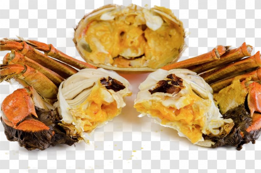 Chinese Mitten Crab Eating Food U87f9u9ec3u6e6fu5305 - Meat - Crabs Transparent PNG