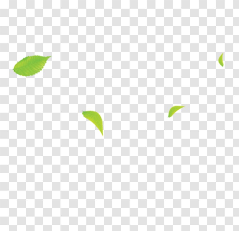 Area Angle Pattern - Green - Leaves Transparent PNG