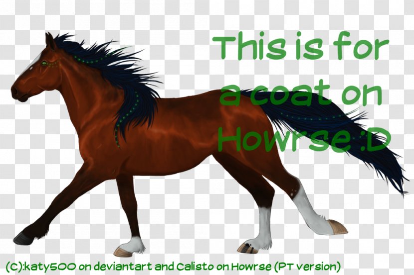Mane Pony Stallion Mustang Mare - Rein Transparent PNG