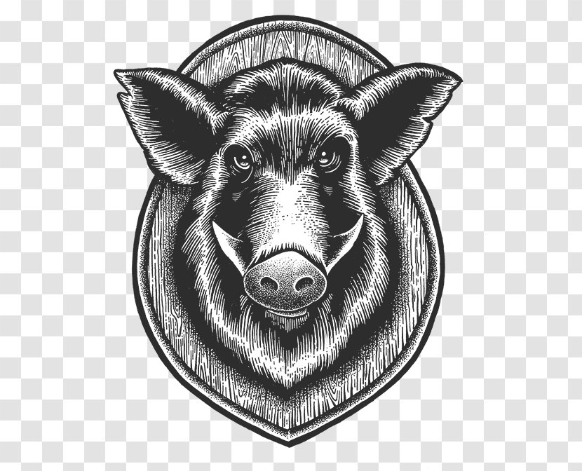 Pig Cattle Snout Mammal Fauna - Livestock Transparent PNG