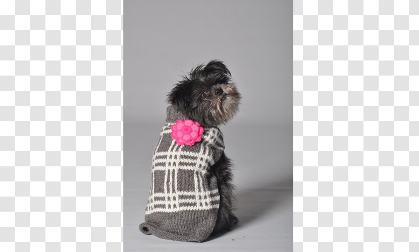 Affenpinscher Dog Breed Schnoodle Puppy Clothing - Overcoat - Flower Ps Material Transparent PNG