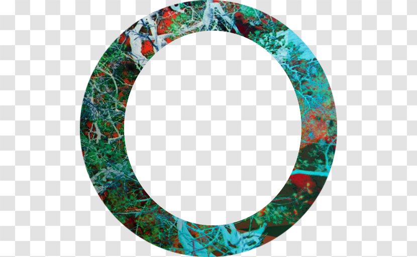 Circle - Oval Transparent PNG