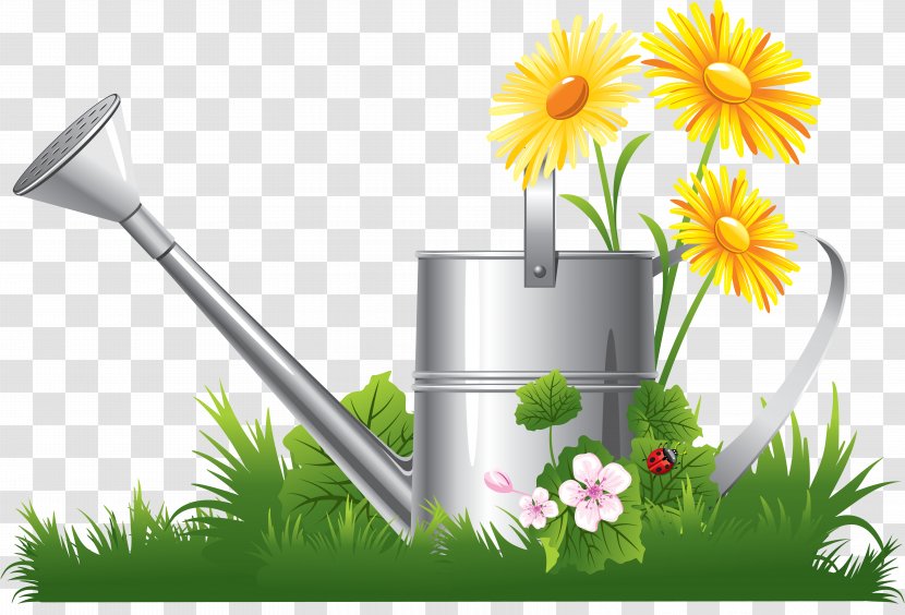 Chamomile Clip Art - Plant - Kitchen Tools Transparent PNG