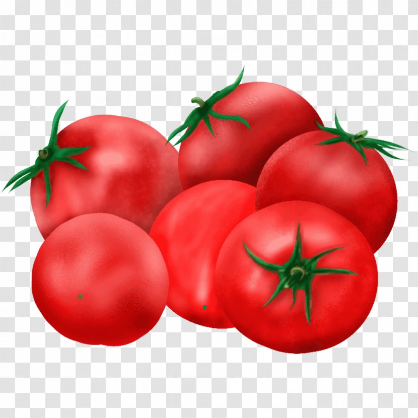 Plum Tomato T-shirt Bush Food - Vegetarian Transparent PNG