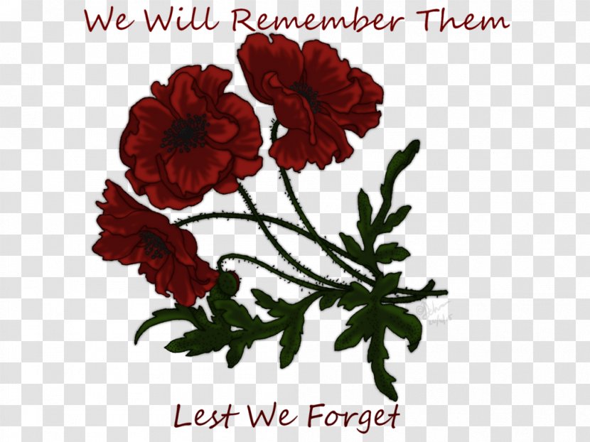 Lest We Forget: Forgotten Voices From 1914-1945 Drawing Clip Art - Carnation - Flower Transparent PNG