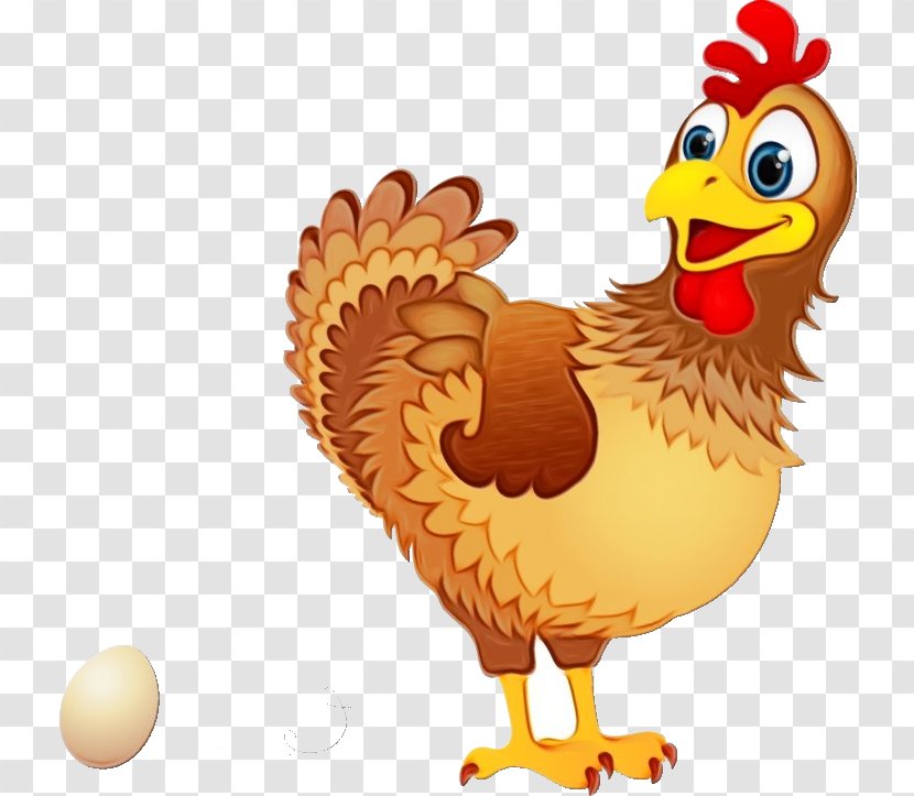 Chicken Bird Rooster Cartoon Beak - Livestock Transparent PNG