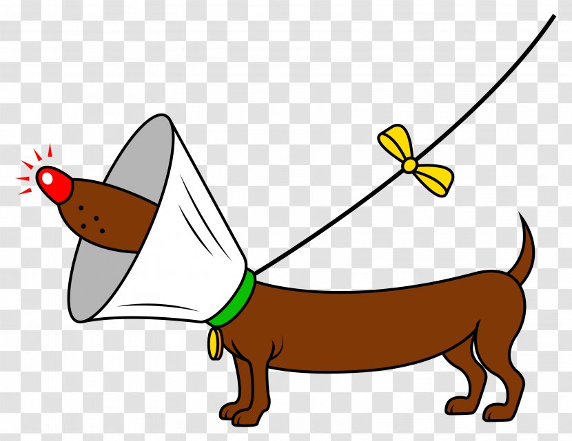 Dog Puppy Pet Leash Veterinarian - Carnivoran - Yellow Transparent PNG