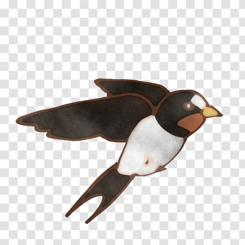 Duck Birds Penguins Beak Goose Transparent PNG
