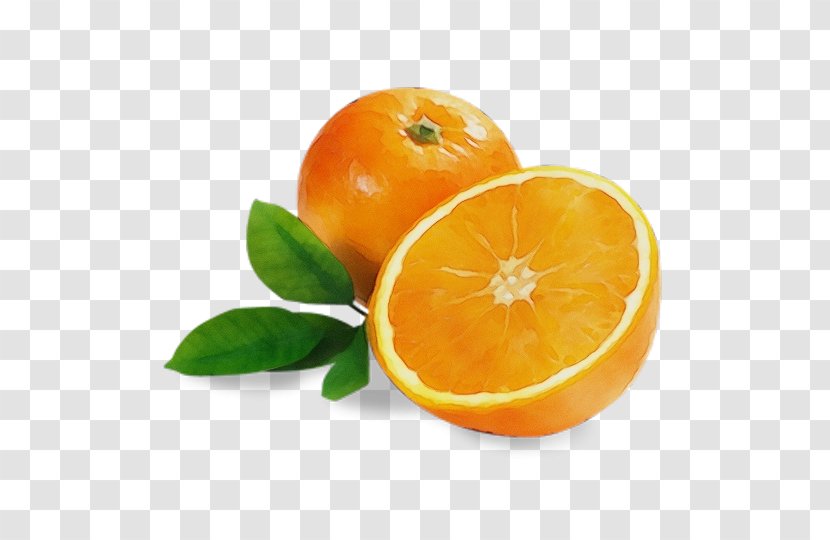 Orange - Bitter Rangpur Transparent PNG